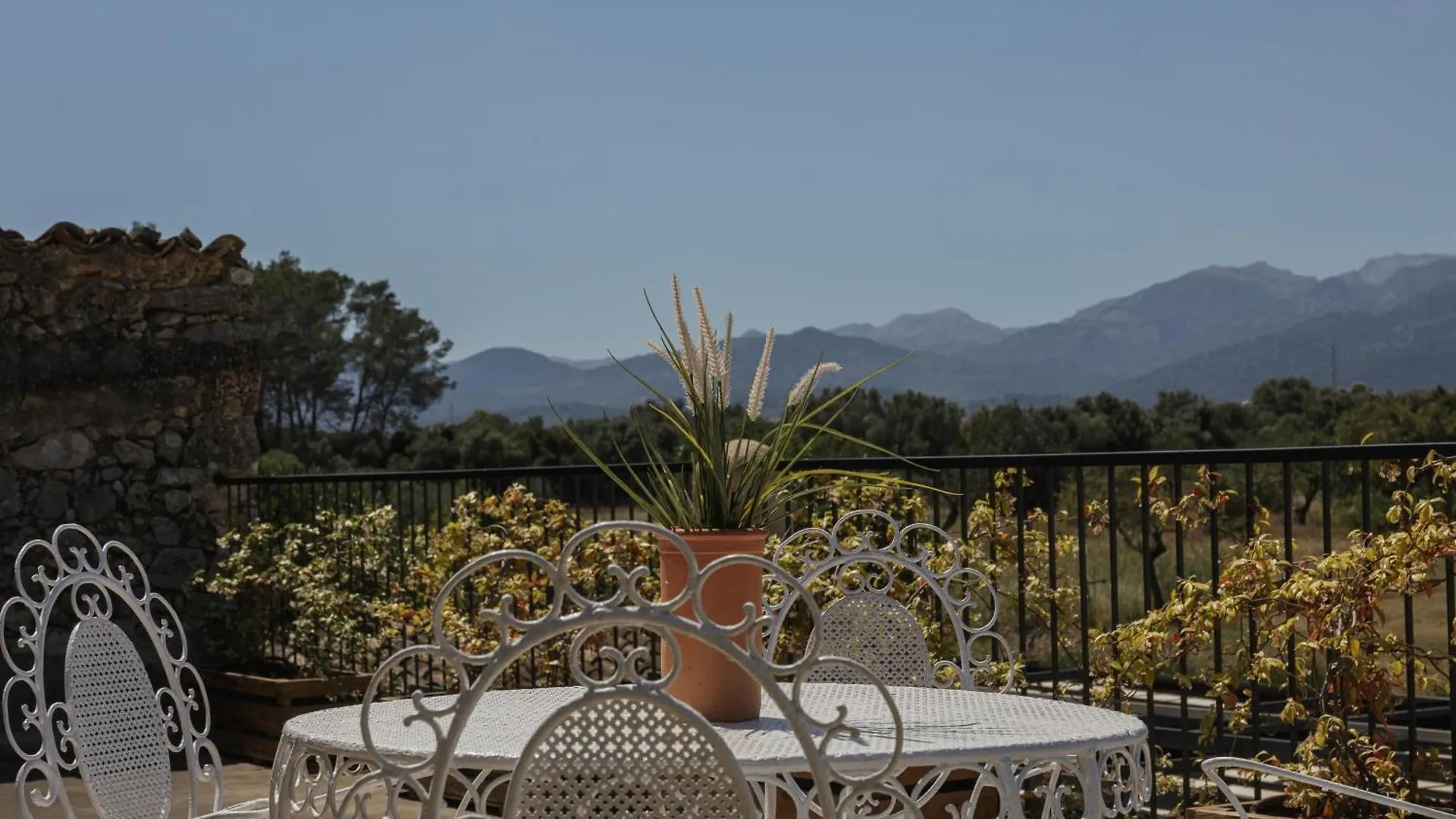 Villa Historic Finca Nature, Charm & Total Privacy Búger Spanje