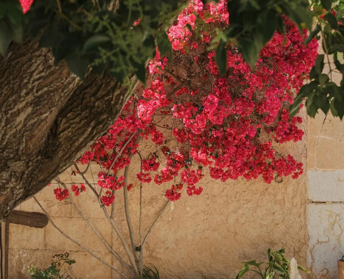 Historic Finca Nature, Charm & Total Privacy Búger 0*,  Spanje